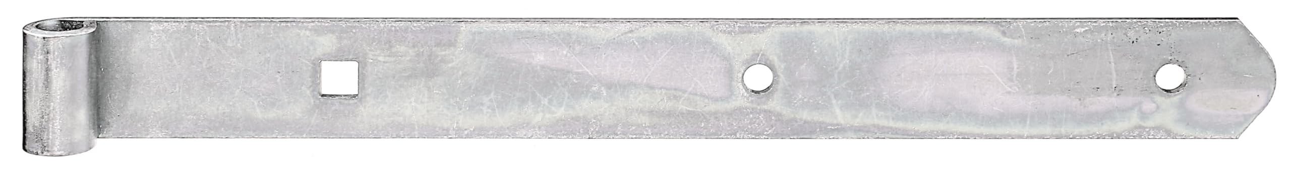 Alberts 313647 Shutter Hinge | Various Designs | Galvanised | Thick Layer Passivated | Roll Diameter 10 mm | Size 300 x 30 mm