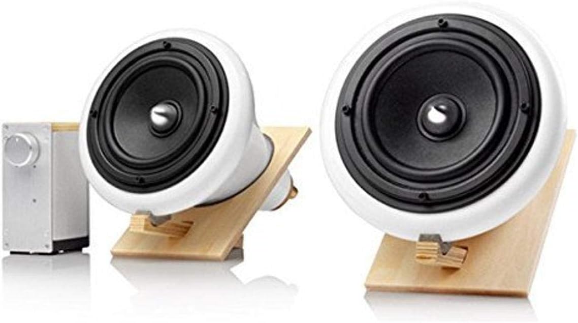 joey roth subwoofer for sale