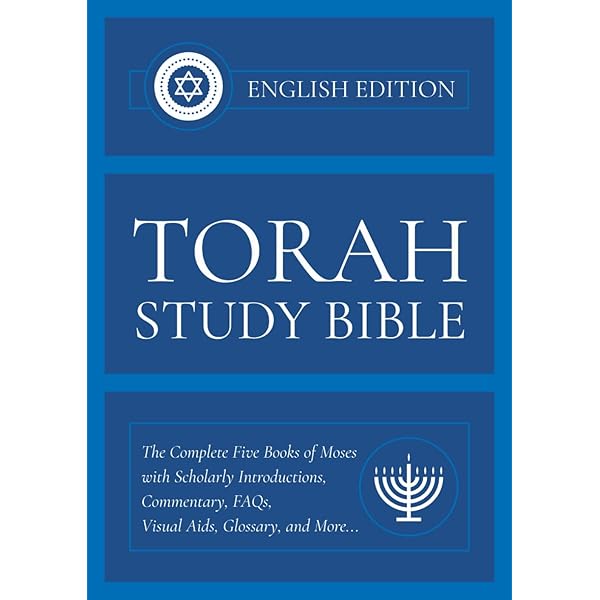 The Book of Logic: The Guide to In-Depth Talmud Study (English and