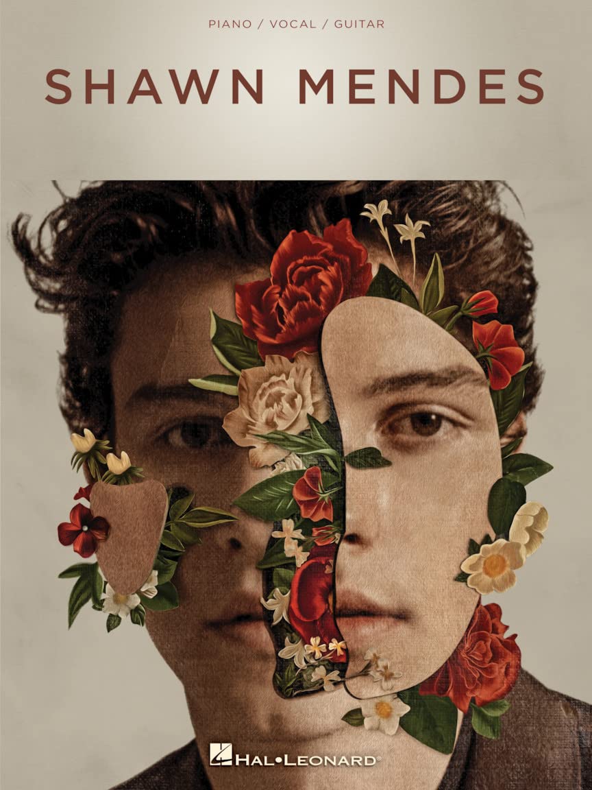 Shawn Mendes - Piano, Vocal and Guitar