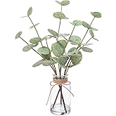 vannyster 14" Tall Artificial Eucalyptus Stems in Glass Vase, Faux Water Base Fake Eucalyptus Plant Decor, Realistic Greenery for Home & Bathroom