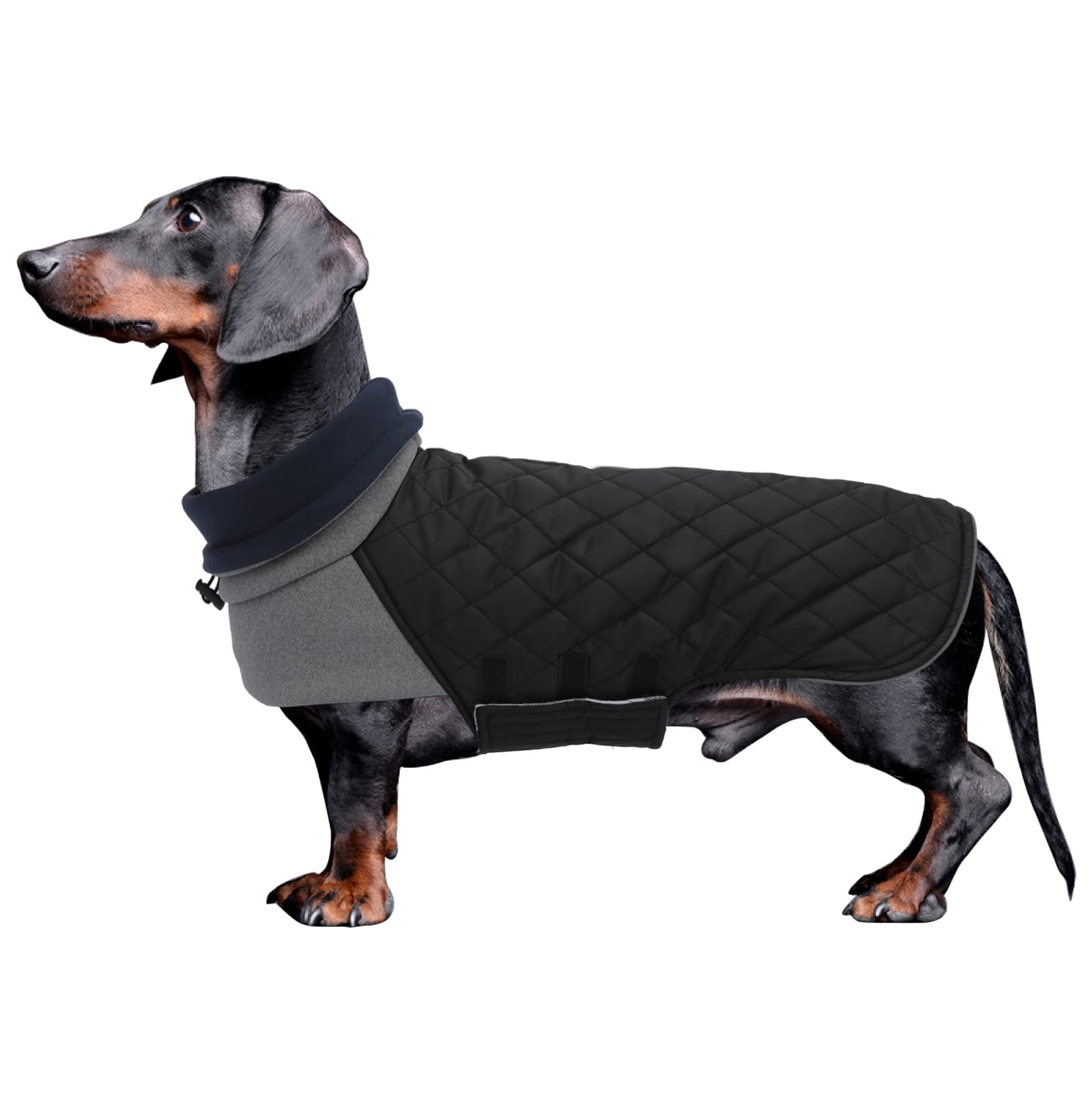 Geyecete Dachshund Winter Coat - Warm, Waterproof, Windproof Jacket With High Neckline String Holes for Small Dogs - Black, Large