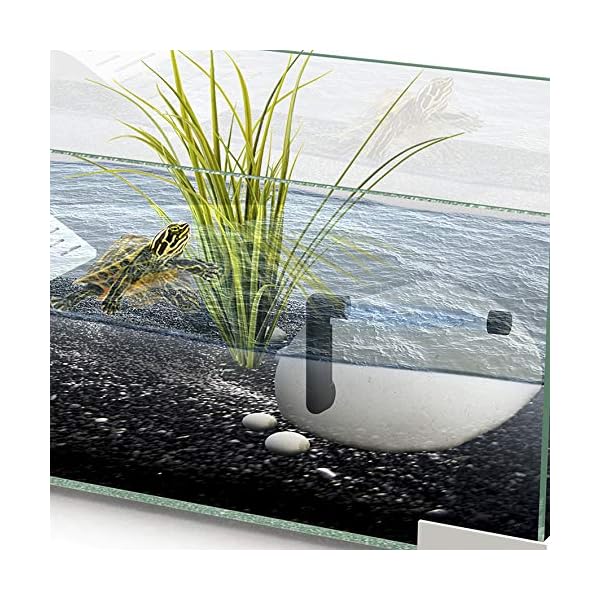 ASKOLL 264596 Ciano CF Stone 80 Filtro Interno Invisibile per Acquario e Tartarughiere, L