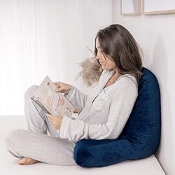 Milliard Reading Pillow with Shredded Memory