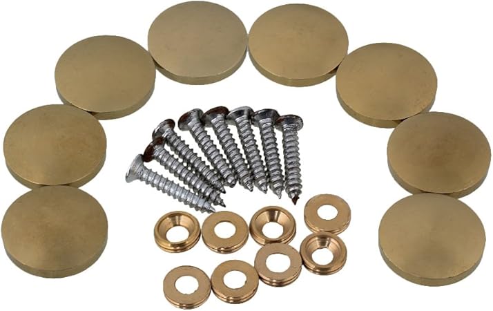 Amazon Com Dlony 8pcs 22mm Brass Mirror Screws With Decorative