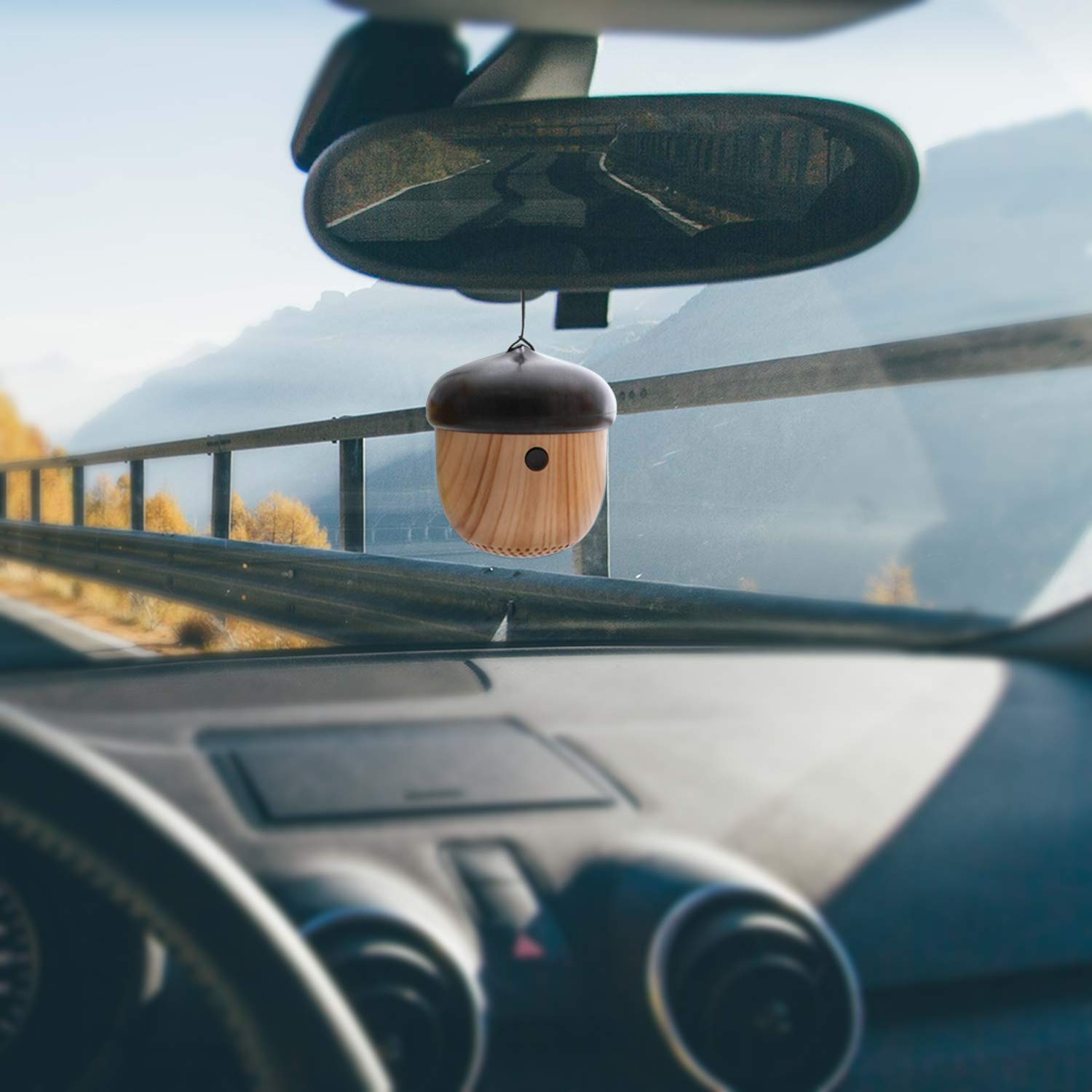 Mini Speaker Bluetooth Wireless, in legno, ricaricabile con copertura in legno, grande suono e compatibile con iPhone, MP3, Samsung, Smartphone, iPad e iPod.