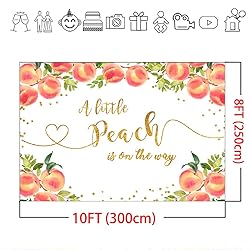 Mocsicka Sweet Peach Backdrop for Girl Baby Shower