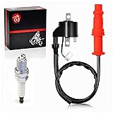 MOTO1988 Ignition Coil and Spark Plug Compatible