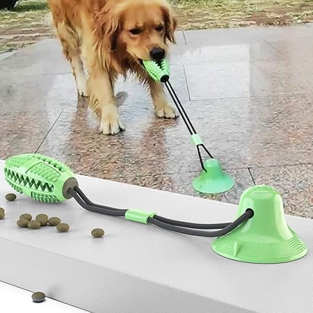 suction floor dog toy