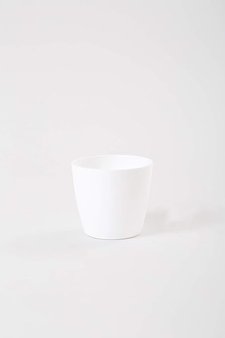 CAPPL 2.5 Inch White Singapore Plastic Pot (Pack of 25)