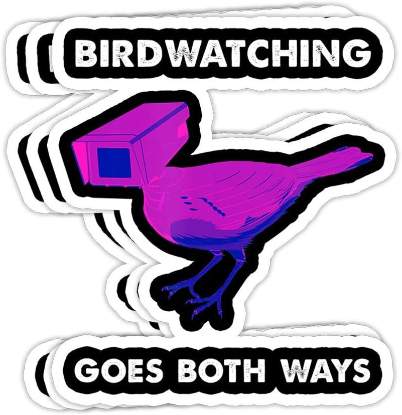 Amazon.com: GrayFoxxy Birdwatching goes Both Ways Birds Arent Real Gift  Decorations - 4x3 Vinyl Stickers, Laptop Decal, Water Bottle Sticker (Set  of 3): Kitchen & Dining