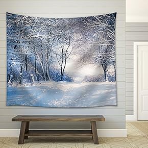 Winter Landscape in Snow Forest. Alley in Snowy Forest - Fabric Wall Tapestry Home Decor - 51x60 inches