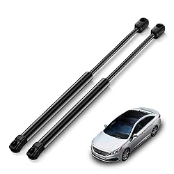 ARANA Hood Struts for Hyundai Sonata