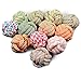 Rachel Pet Products Colorful Cotton Rope Weaving Durable Chew Cleaning Teeth Ball Pets Dog Toys, Random Color, 2 pcs per Pack