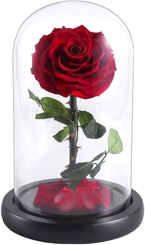 Amazon De Yeplins Die Schone Und Das Biest Rosen Set Forever Rose Im Glas Romantisches