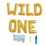 16 INCH WILD ONE Kids First Birthday Balloons, Baby Girl Boy 1st Bday Party Supplies with Air Pump