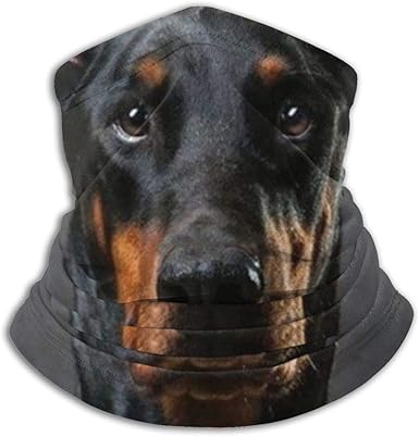 doberman funny pictures