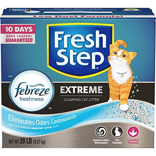 10 best kitty litter extreme Sideror Reviews