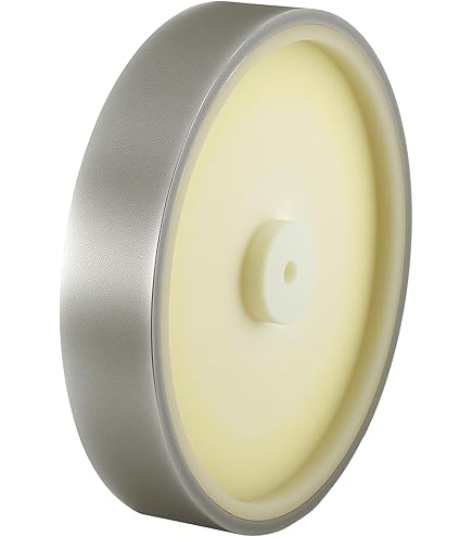 T8 Grinding/Polishing Wheel Set 10'' CBN and Rock Hard Felt Wheels for Tormek Sh
