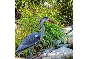 The Pond Guy Blue Heron Decoy for Backyard Water Gardens or Patio Ponds, Deter Predator Waterfowl & Protect Koi, Realistic Outdoor Yard Decoration
