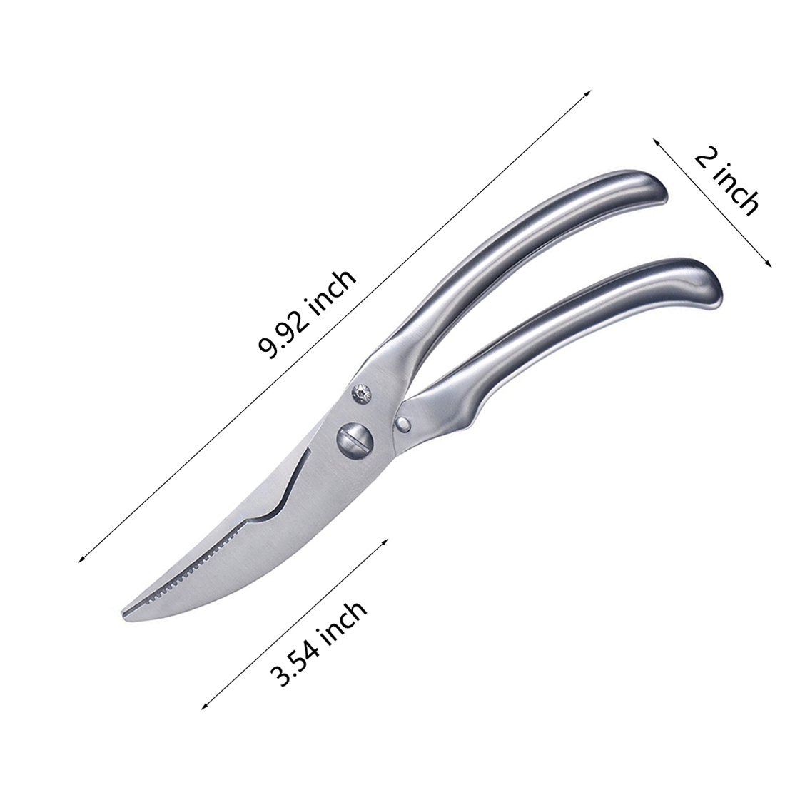 Kitchen Scissors, Oyster Knife, Silicone Basting Brushes Set. Multi