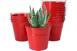 Biugaaufai 15 Pack 5.1" Red Metal Bucket, Elegant Galvanized Buckets with Handles, Tin Buckets, Small Iron Bucket, Metal Pail for Party Favors, Crafts, Garden & Beach