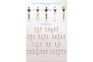 QSHPO The Five Basic Ballet Positions Metal Signs Different Skin Tones Dancers Action Posters Room Decor Club Home Wall Decor Retro Plaque 12x16 Inches