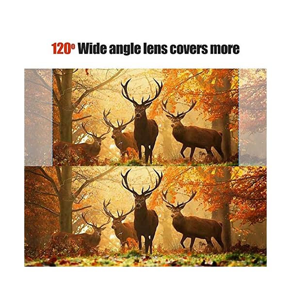 EXCLVEA Wildkamera 12mp 1080p Infrarotkamera Infrarot Nachtsicht Wildlife Scouting Kameras für die Überwachung von… – Bild 4