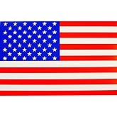 American Flag Sticker 8"X12"
