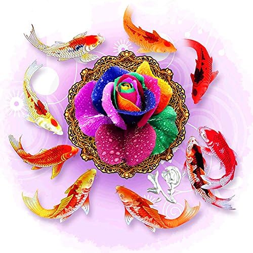 DIY 5D Diamond Painting by Number Kits, Crystal Rhinestone Diamond Embroidery Paintings Pictures Arts Craft for Home Wall Decor(Koi and Colored Rose,11.8 x 11.8 inches)