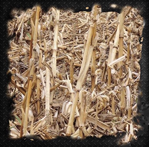 Bamboo Cornstalk Corn Field Brush Duck Blind Camo Camouflage