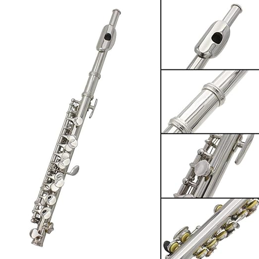 Instrumentos Musicales Instrumentos De Viento Flautas Dulces Alto Dilwe Piccolo Instrumento Instrumentos Musicales Plateado Desmontable Plateado C Piccolo Con Destornillador Caja De Cuero De Pu Herramienta De Limpieza Set Clab64 Fr