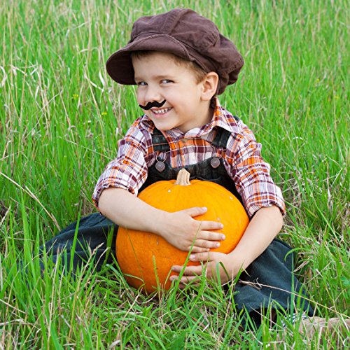 Whaline 60 Piece Fake Mustache Self Adhesive Costume Novelty Mustaches For Party Supplies, Masquerade & Performance (Multicolor)