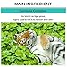 Leegeehaam (LGH) Grow Cica Cream, tiger grass and centella asiatica facial cream for skin blemish, damage, barrier recovery / 1.76 oz.