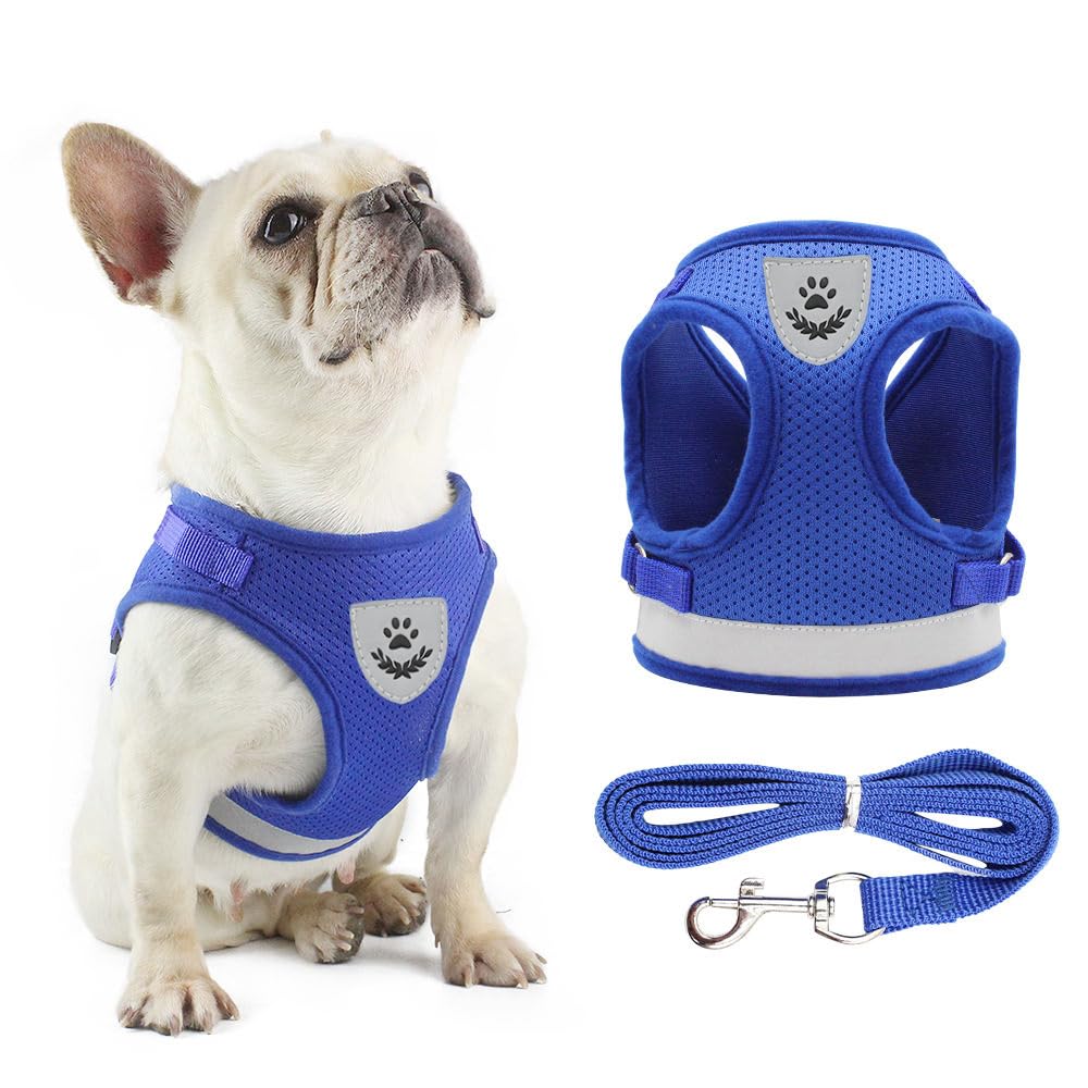 Anlitent Soft Mesh No Pull Cat Harness and Lead Set for Walking, Escape Proof Kitten Vest Harnesses for Small Dogs/Cats/Animals Rabbit, Cool Cat Dog Collar with Leash (Blue, X-Large)