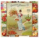 Mini Posters Pack [12 sheets 8