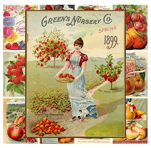 Mini Posters Pack [12 sheets 8