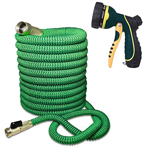 Blueberry Expandable and Flexible Garden Hose Solid