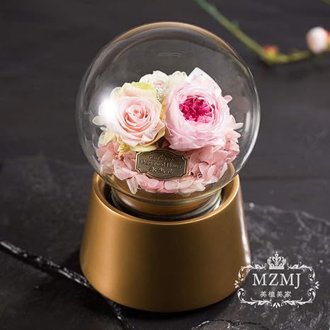 Amazon フレッシュローズミュージックボックス 手作りフラワー ガラスカバーで花を保存 手作りの花 バレンタイン S の日のためのギフトボックスとロマンチックな音楽ボックス B 12x17cm 造花 オンライン通販