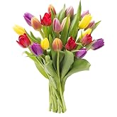 KaBloom-20 Assorted Tulip Bouquet,Flowers for Valentine, Mother's Day
