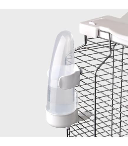Automatic Bird Water Dispenser - Hanging No-Spill Feeder For Parakeets, Conures, African Grey, Macaw Parrots (Random Color)