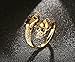 HIJONES Men's Stainless Steel Gold Double Head Skull Snake Biker Ring Size 10