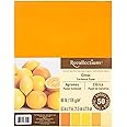 Recollections Citrus Cardstock Paper, 8.5" X 11" - 50 Sheets, 5 Colors
