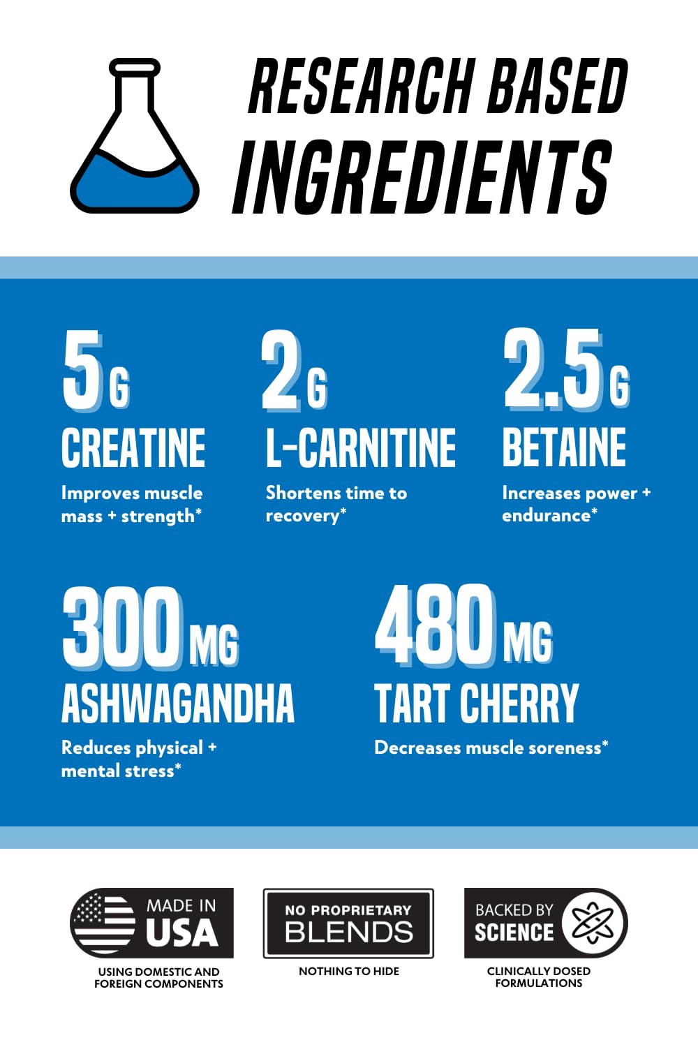 Outwork Nutrition Post Workout Recovery Powder - Creatine Monohydrate, KSM-66 Ashwagandha & Tart Cherry - Speeds Recovery, Eases Soreness - Creatine Powder for Men & Women, Berry Splash, 240 Gr