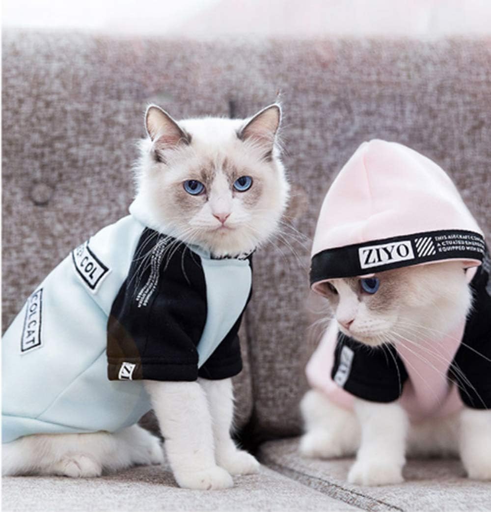 Xihaoer Cat clothes spring and summer thin section two-pronged clothes kitten puppet sweater British short pet clothing spring and autumn hoodie for cats (M, blue)
