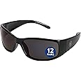 Smith & Wesson® Elite™ Safety Glasses (21303), Smoke Lenses, Black Frame, Unisex Sunglasses for Men and Women (Qty 12)