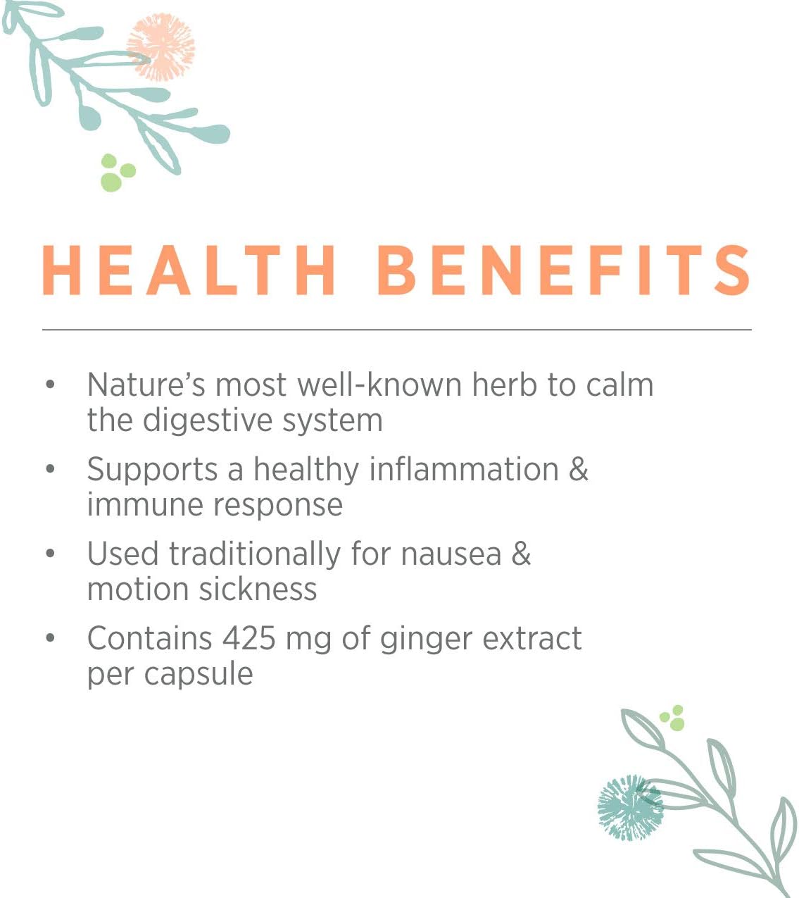 Pure Synergy Organic SuperPure Ginger Extract (60 Capsules) w/Shogaols & Gingerols: Health & Personal Care