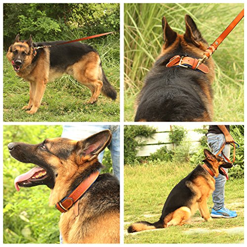 german shepherd neck belt