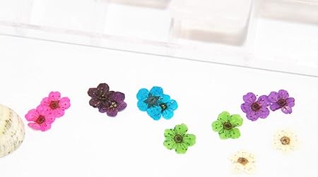 Amazon Glitter Powderジェルネイル 押し花 ネイルパーツ ラメ ホログラム グリッター アートラメグリッター 12色セット 宇宙塗り レジン封入 ネイル ノーブランド品 グリッター ラメ 通販