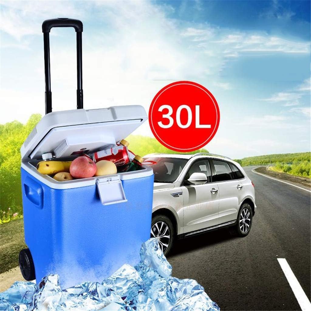 Best Small Portable Refrigerator Ac Dc